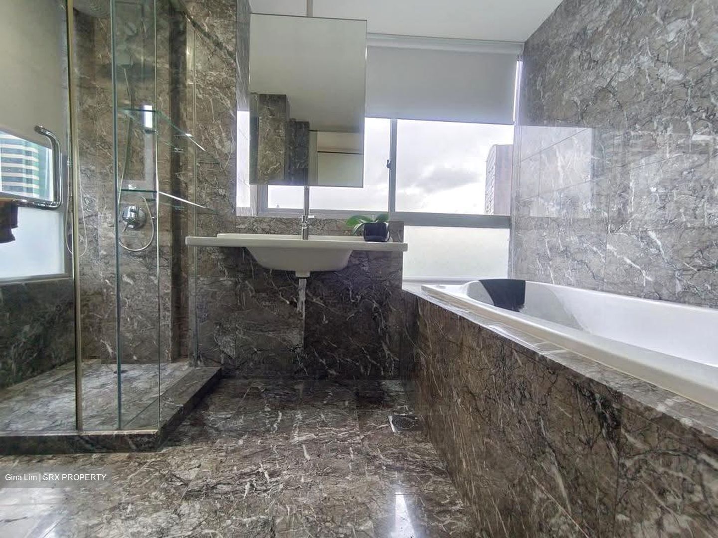 Suites @ Cairnhill (D9), Apartment #607120011
